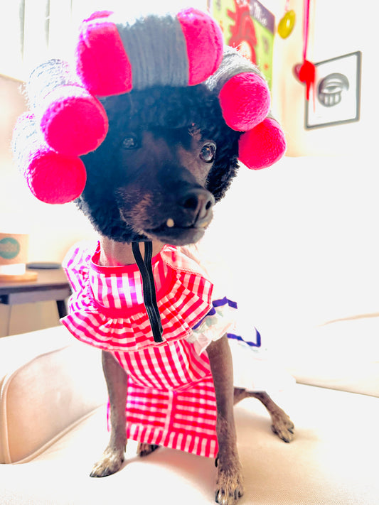 Dona Florinda dog costume
