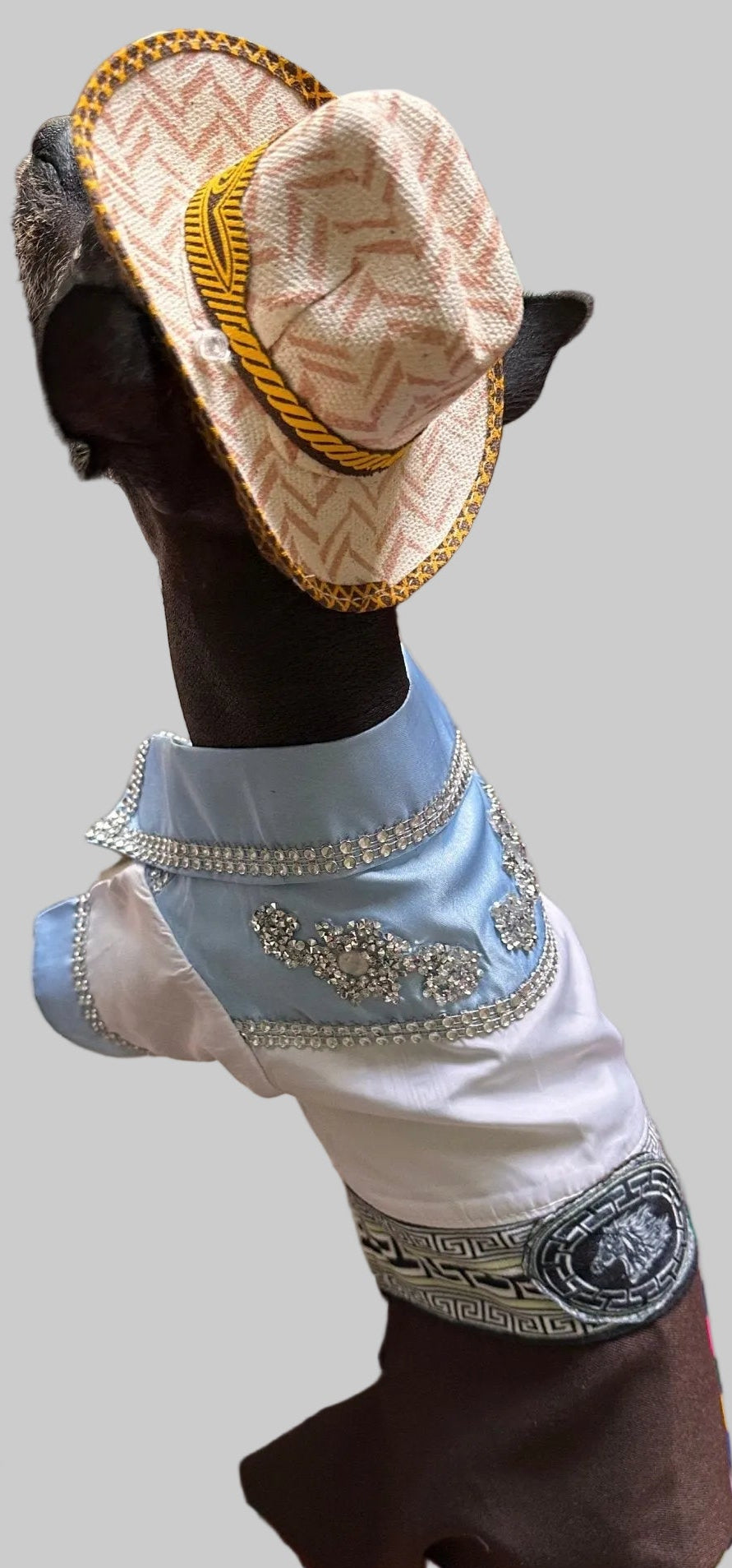 Norteño Outfit for dog costume - GueyitaMexicana