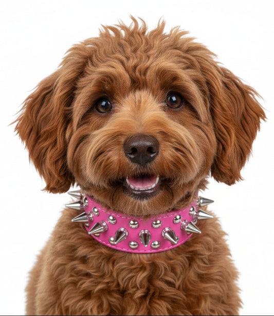 Bold & Brave: Artisan Spiked Dog Collar