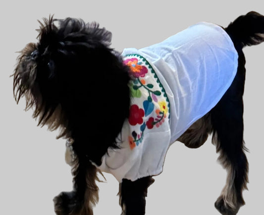 Vibrant Mexican Dog Blouses: Style Meets Comfort!