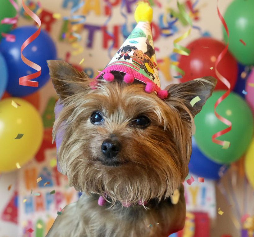 Happy Birthday hats for dogs
