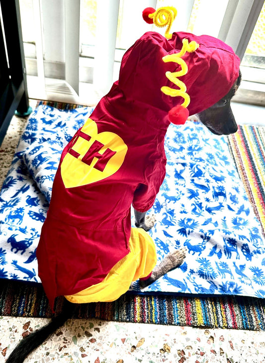 Chapulin Colorado Dog Costume - GueyitaMexicana