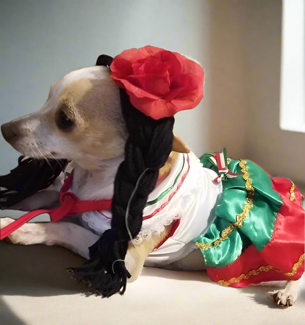 white christmas dresses China Poblana Dog girl dress white christmas dresses China Poblana Dog girl dress