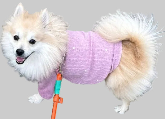 Cozy dog cardigan - GueyitaMexicana