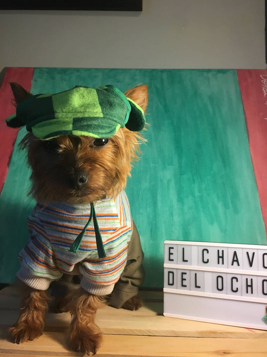 El Chavo del Ocho Dog costume - GueyitaMexicana