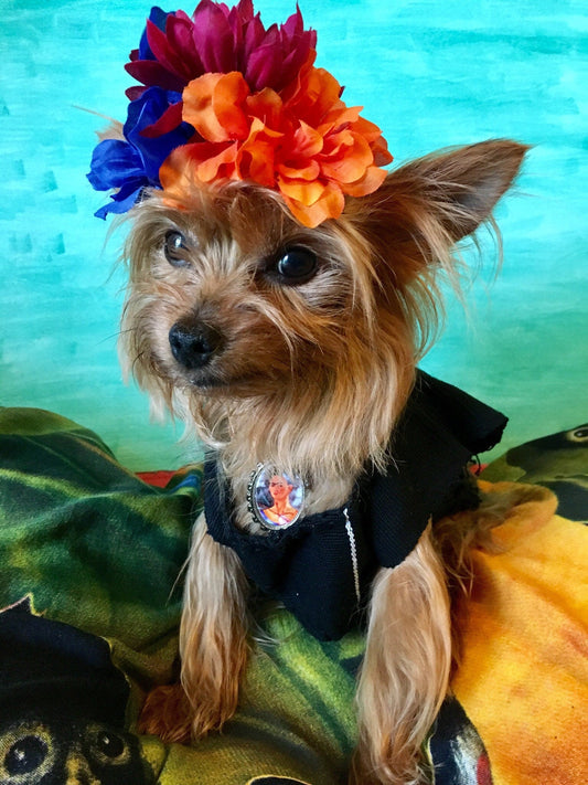 Frida Kahlo inspired dog costume - GueyitaMexicana