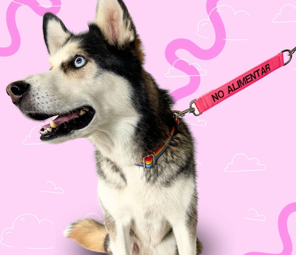 Leash extensions - GueyitaMexicana