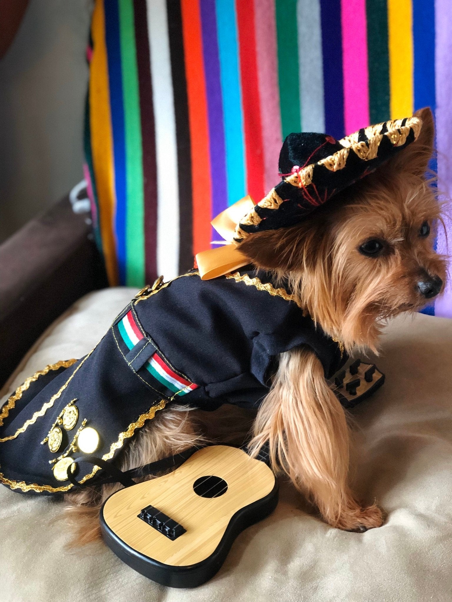 Mariachi Costume for female dog - GueyitaMexicana