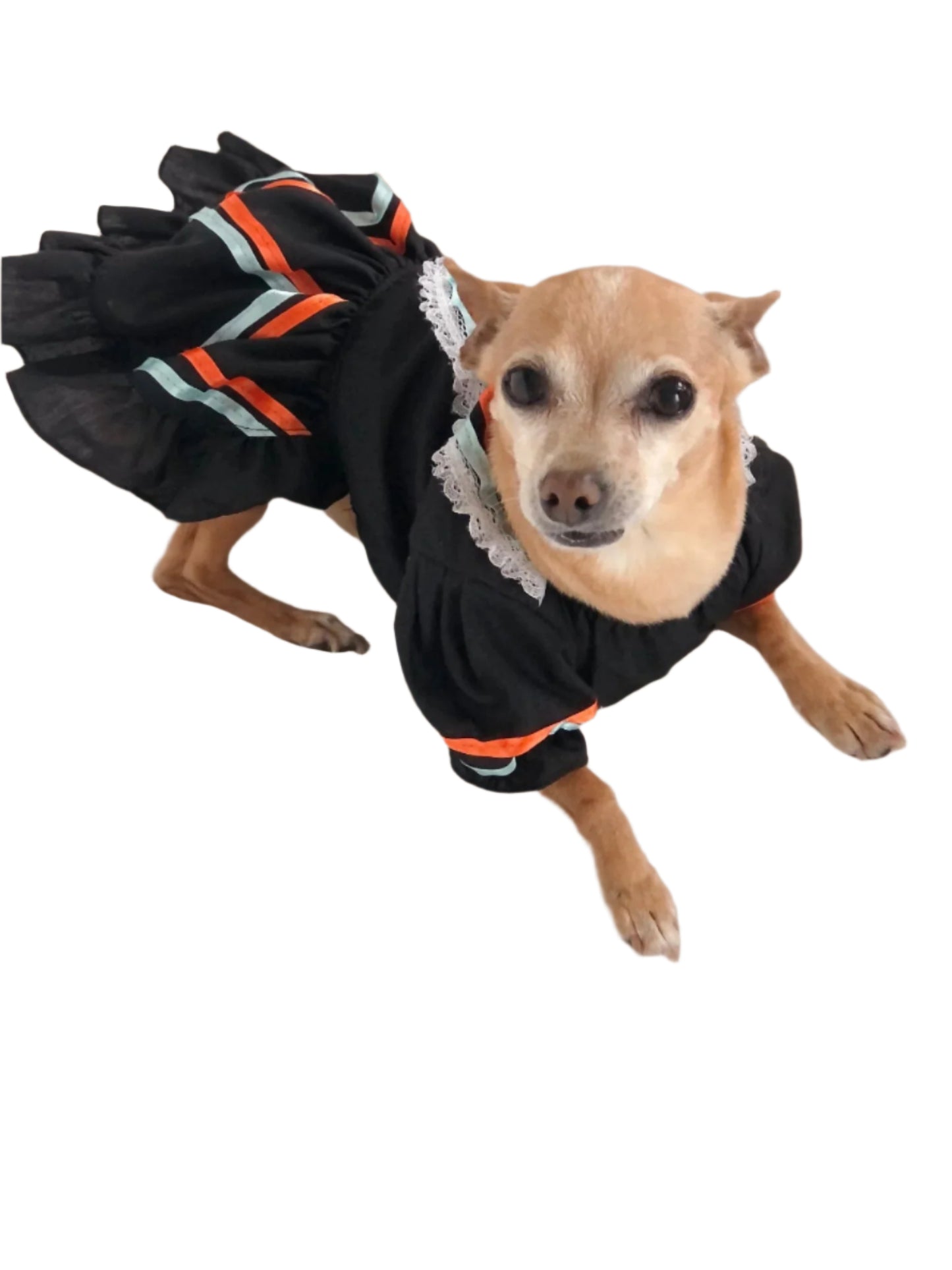 Mexican Dog girl dress - GueyitaMexicana