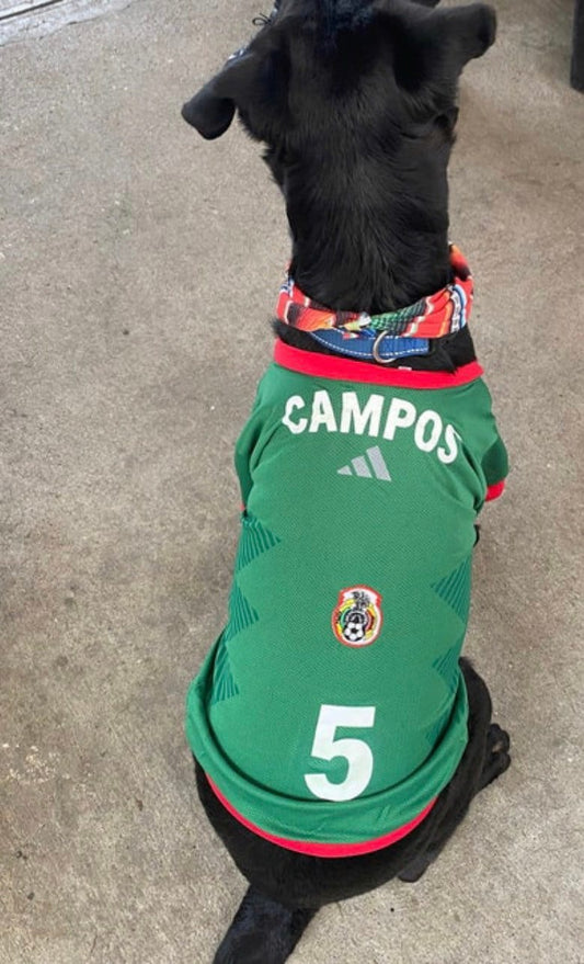Mexican dog jerseys for big dogs - GueyitaMexicana