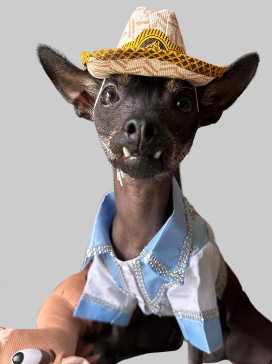 Norteño Outfit for dog costume - GueyitaMexicana