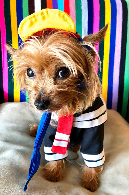 Quico dog costume - El chavo - GueyitaMexicana