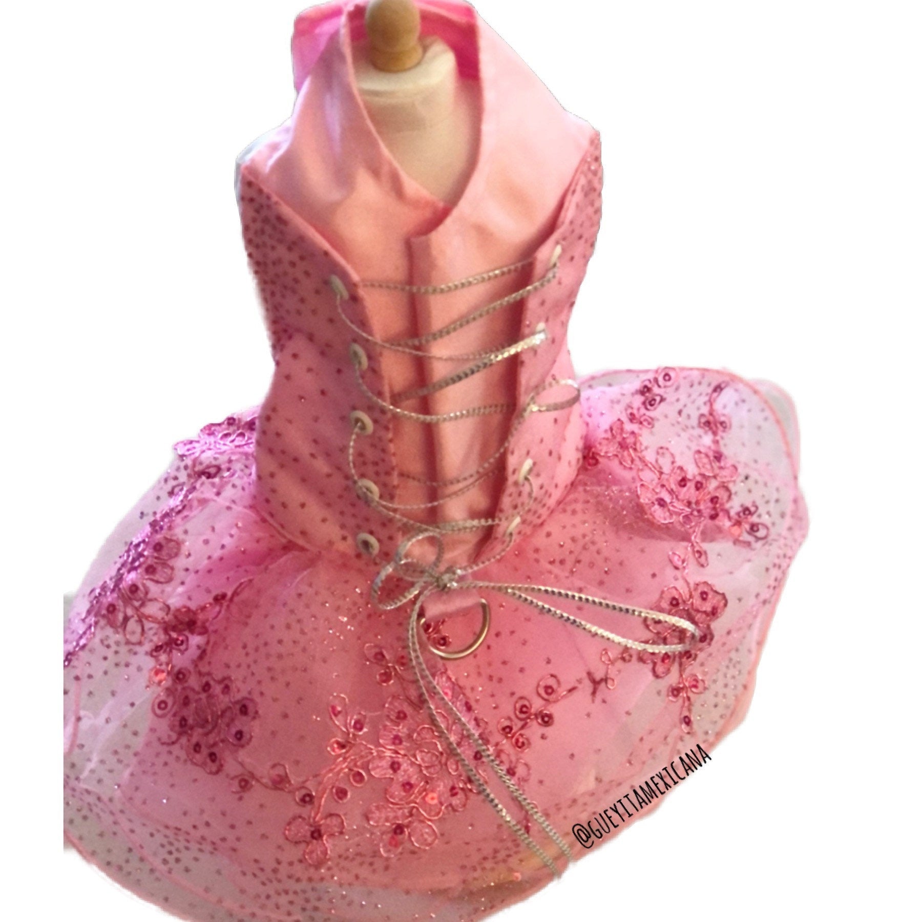 Quinceanera dog girl dress - GueyitaMexicana