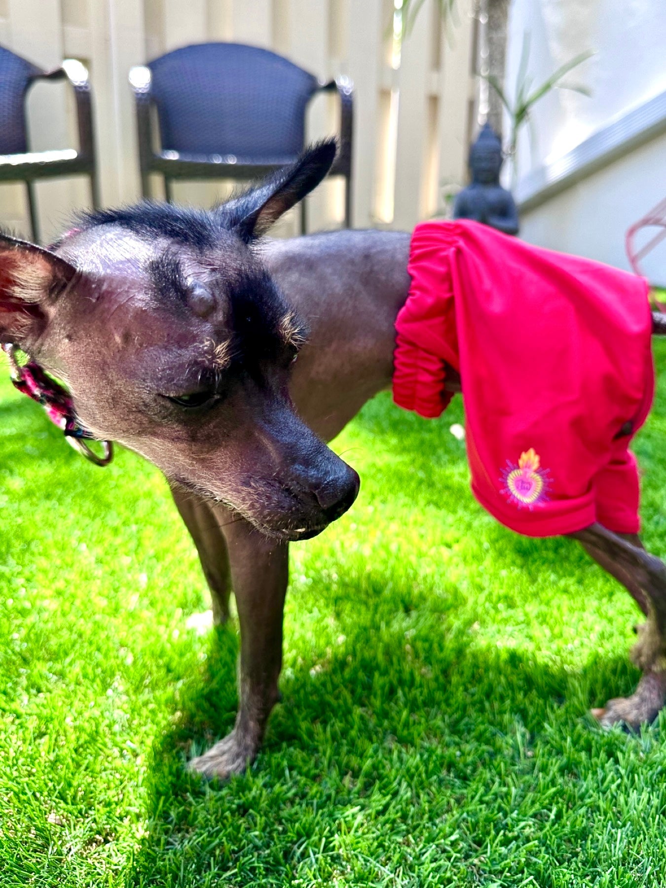 Red Swimsuit for dogs - GueyitaMexicana