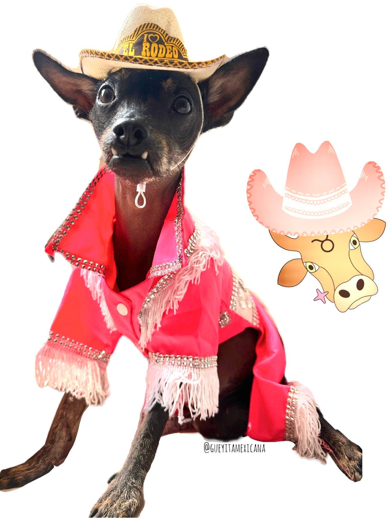 Rodeo outfit for dogs - Barkie dog costume - GueyitaMexicana