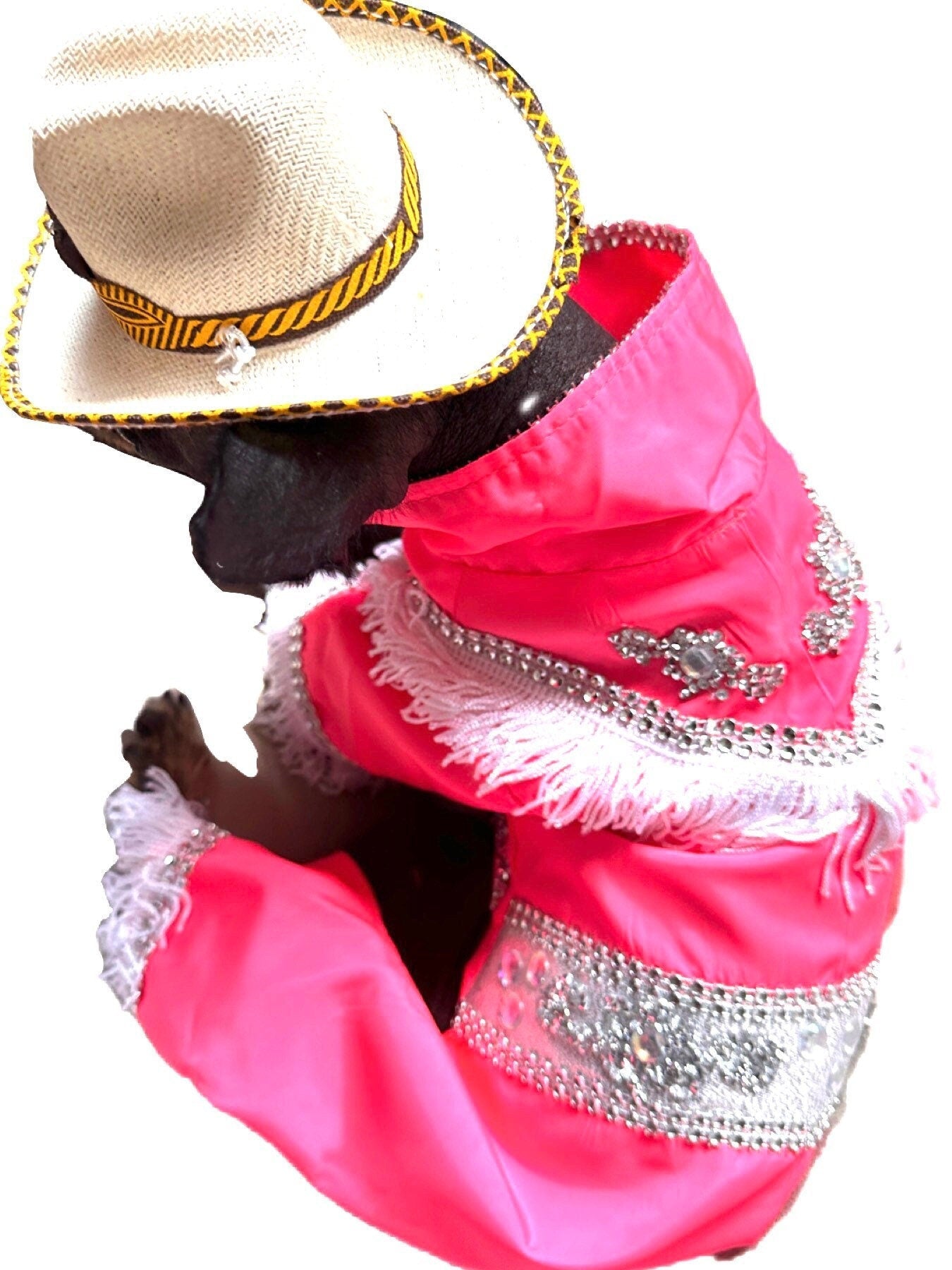 Rodeo outfit for dogs - Barkie dog costume - GueyitaMexicana