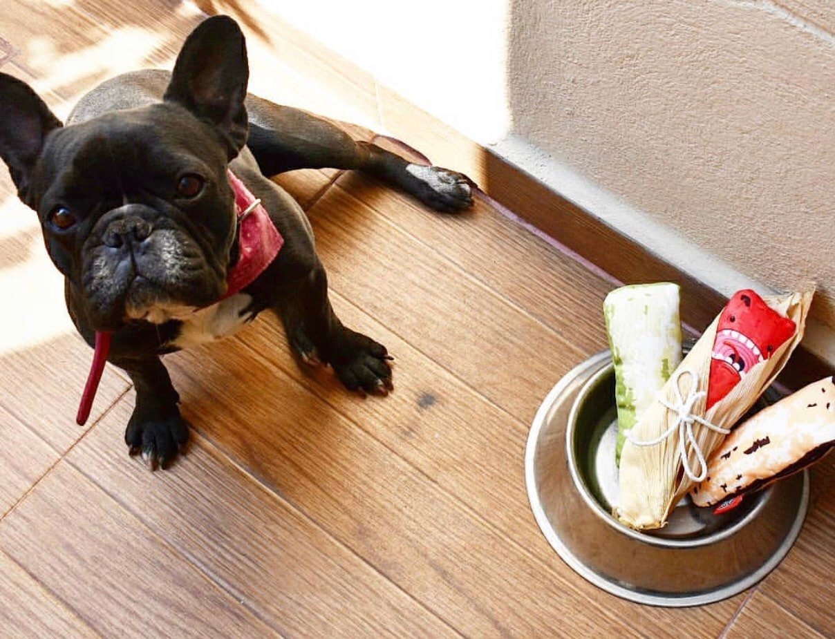 Tamalitos toy for dogs - GueyitaMexicana